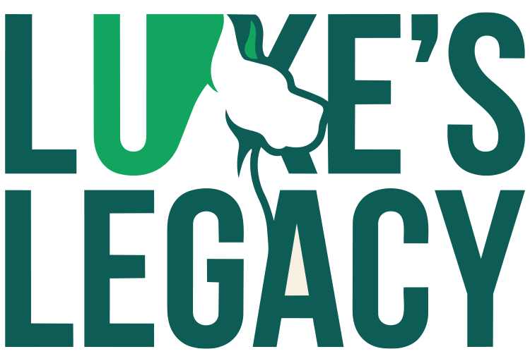 Avada Catering Services